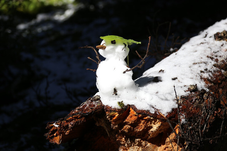 Schneemann mit Blatt als Hut