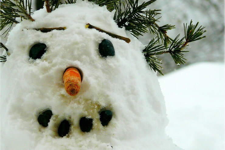 Schneemann mit Tannenzweig-Frisur